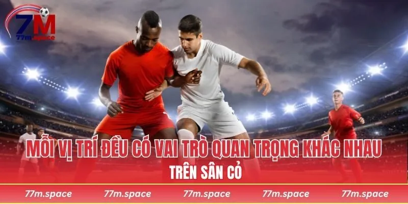 Mỗi vị trí đều có vai trò quan trọng khác nhau trên sân cỏ